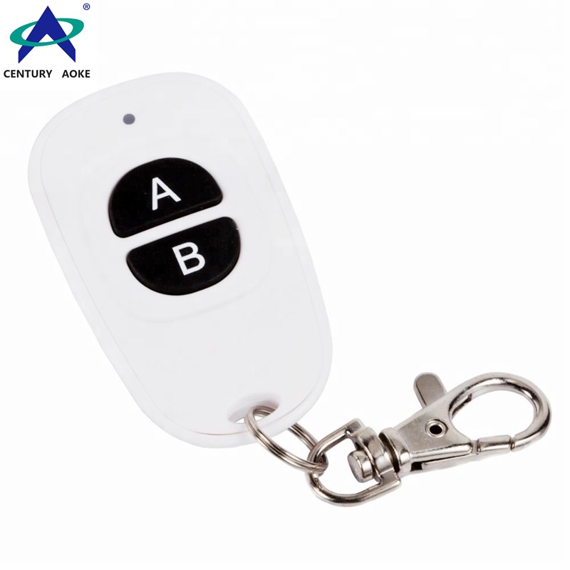 White duck egg shape plastic shell remote 2 button 433Mhz/315Mhz wireless remote control